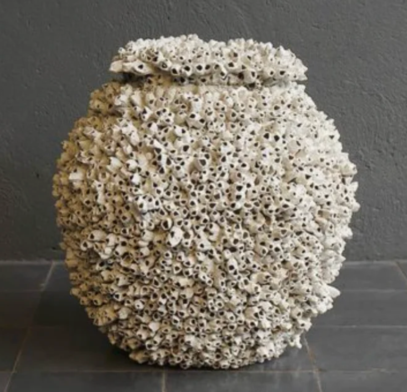 Barnacle Urn - Large