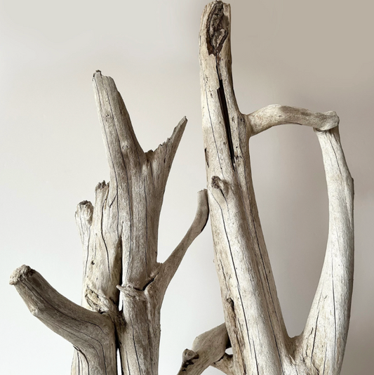 Driftwood on Stand